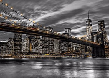 ΝΥ Assaf Frank NEW YORK 