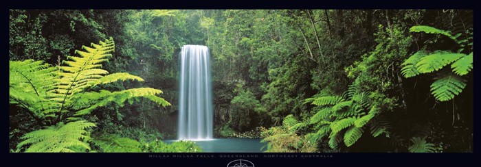 MILLAA MILLAA FALLS