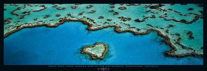 HEART REEF