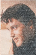 ELVIS