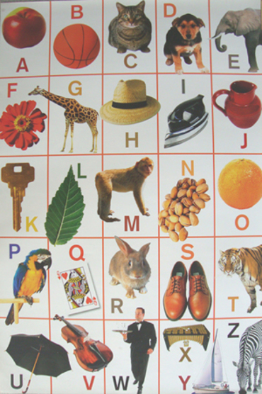 ANIMAL ALPHABET