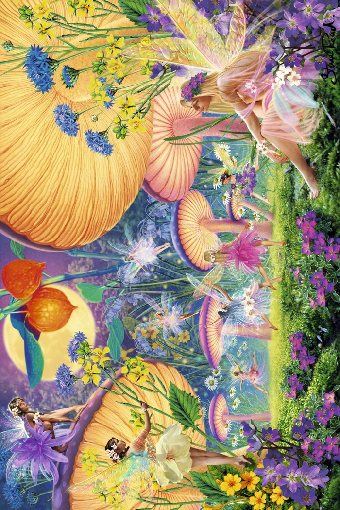 LA NUIT ENCHANTEE FAIRIES