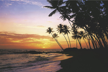 TROPICAL SUNSET