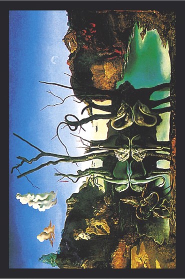 ΑΦΙΣΕΣ ΜΑΧΙ 61Χ91