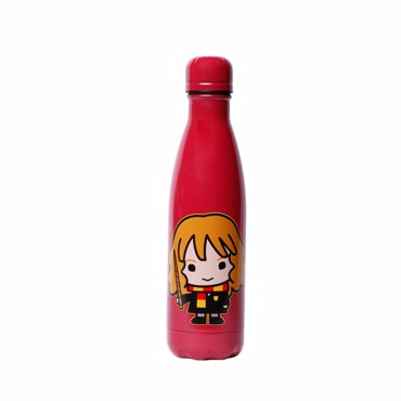 HARRY POTTER METTALIC BOTTLE(HERMIONE)
