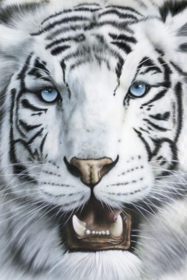 WHITE TIGER