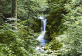 WATERFALL IN SPRING