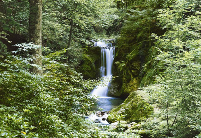 WATERFALL IN SPRING