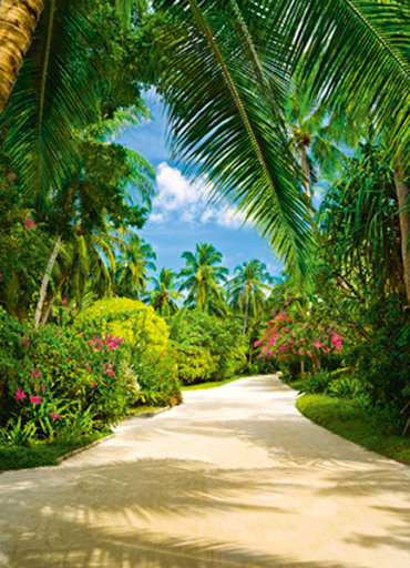 TROPICAL PATHWAY