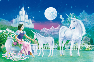 Unicorn Princess