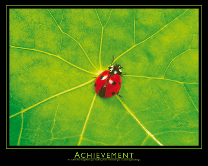 ACHIEVEMENT