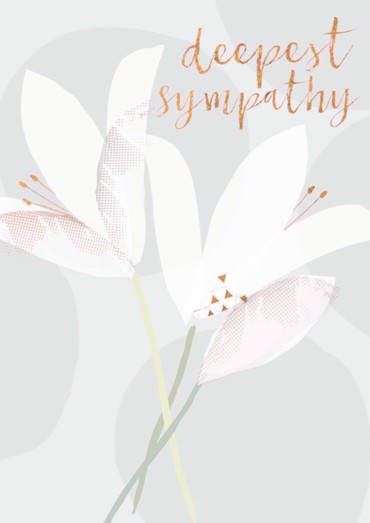 ΣΥΛΛΥΠΗΤΗΡΙΑ