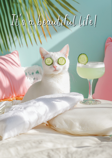 IT'S A BEAUTIFUL LIFE