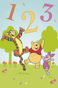 WINNIE THE POOH