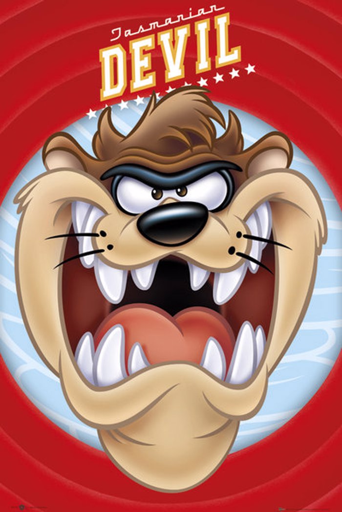 LOONEY TUNES TASMANIAN DEVIL