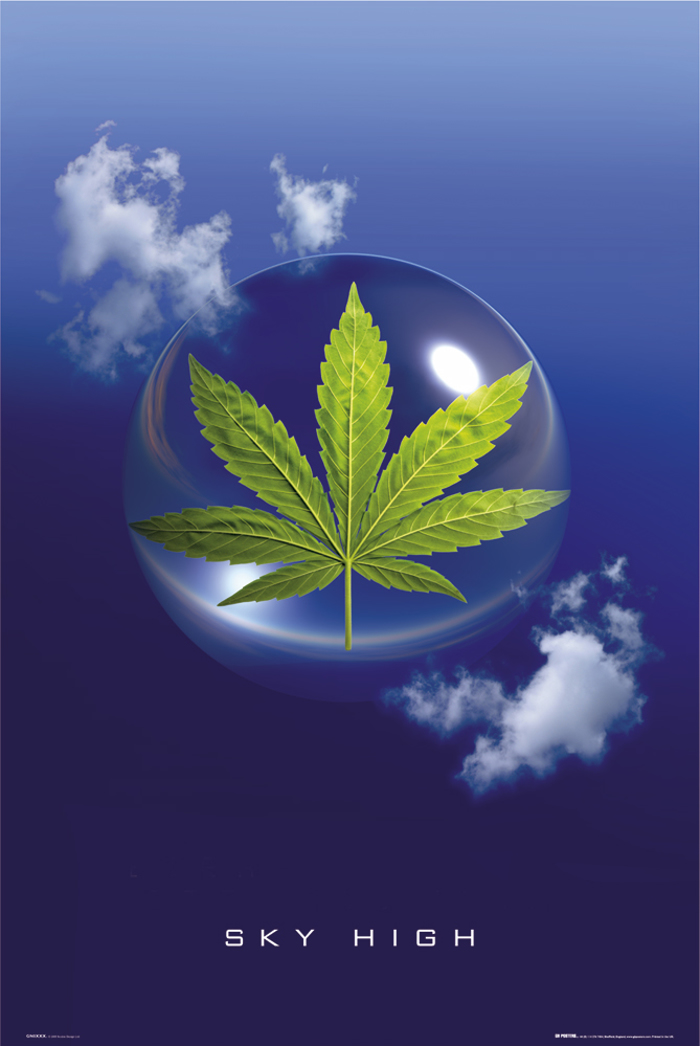 MARIJUANA LEAF