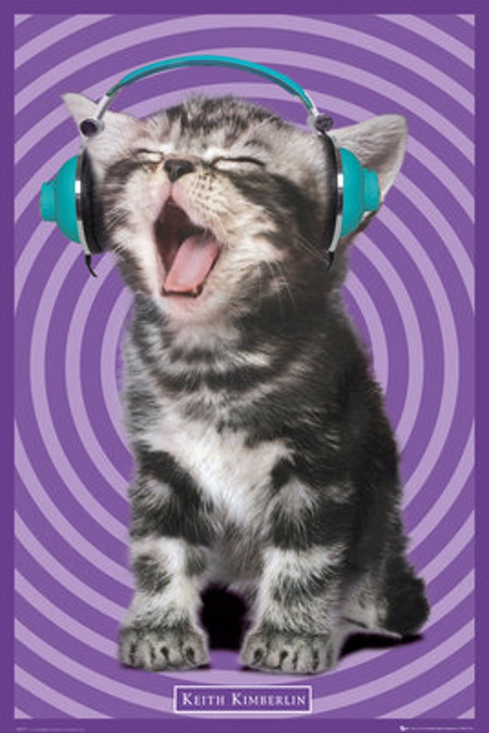 KEITH KIMBERLIN KITTENS HEADPHONES