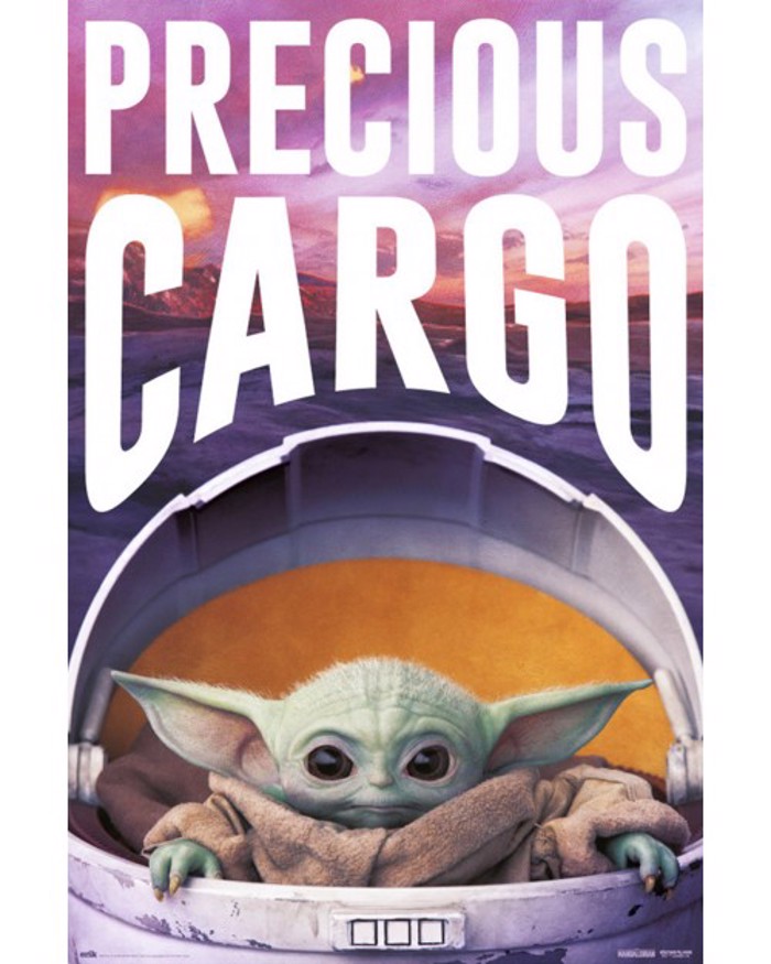 STAR WARS THE MANDALORIAN PRECIOUS CARGO