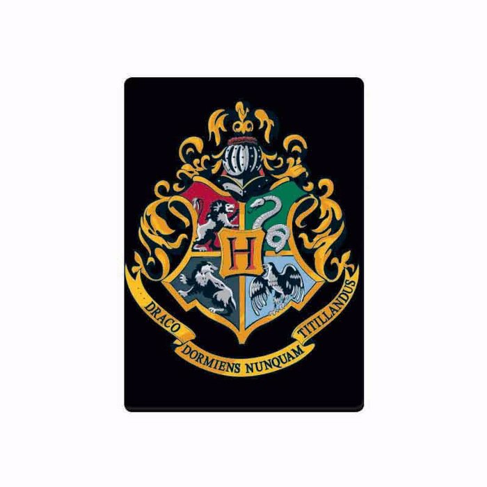 HARRY POTTER (HOGWARTS)