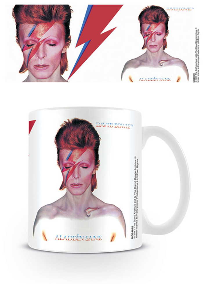 DAVID BOWIE(ALADDIN SANE)