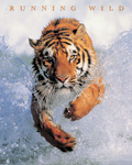 RUNNING WILD(RED)