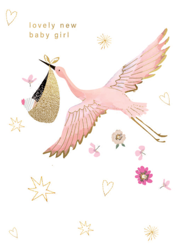 LOVELY NEW BABY GIRL