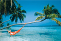 BEACH PALM TREES