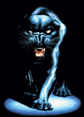 BLACK PANTHER