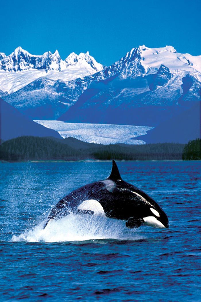ORCA