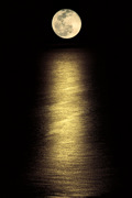 FULL MOON