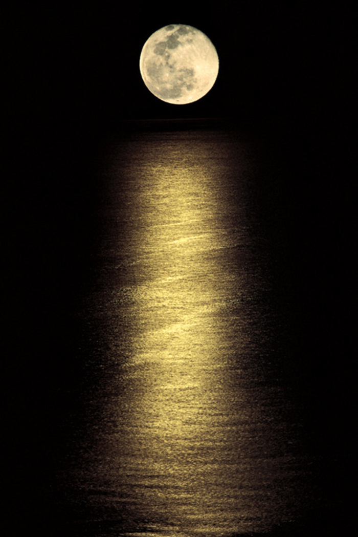 FULL MOON