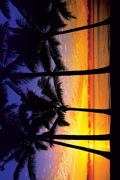 SUNRISE PALM TREES