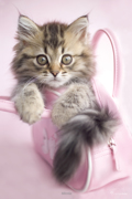 KITTY IN PINK