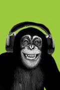 CHIMPANZEE HEADPHONES HUMOR