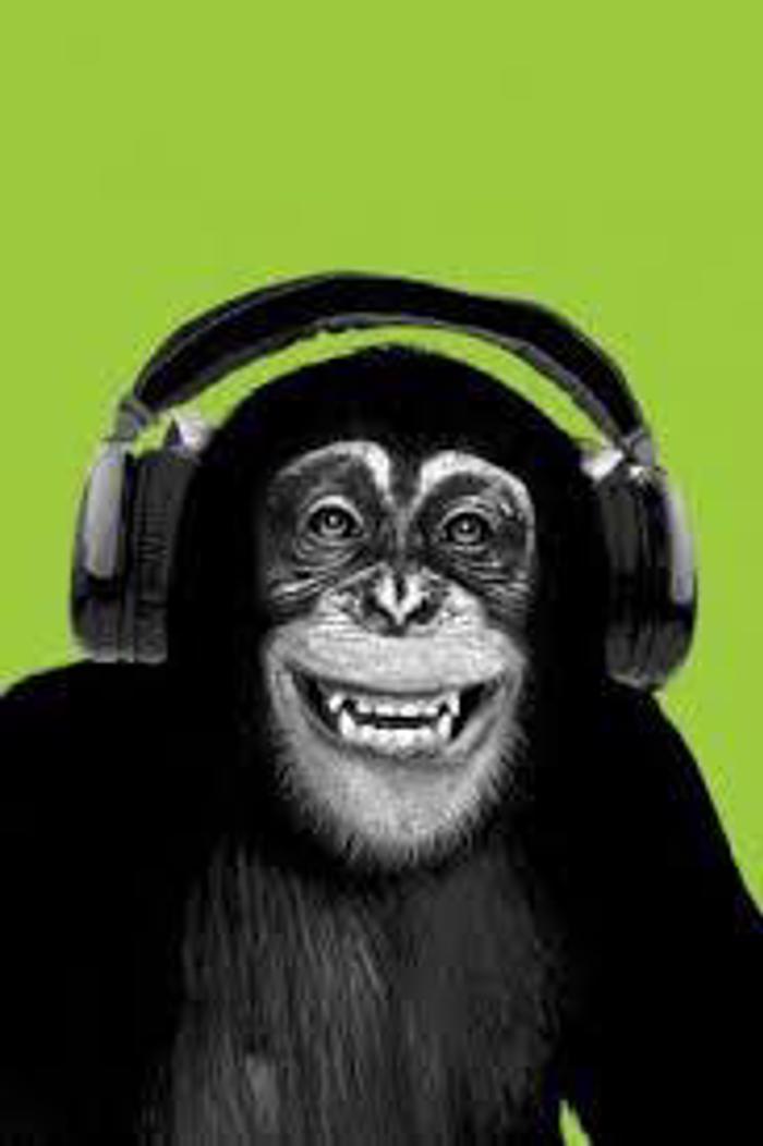 CHIMPANZEE HEADPHONES HUMOR