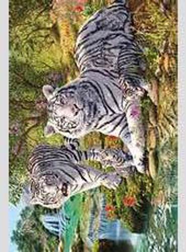 HIDDEN IMAGES - WHITE TIGER CLAN