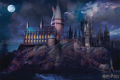HARRY POTTER (HOGWARTS)