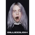 BILLIE EILISH (SPIDER)