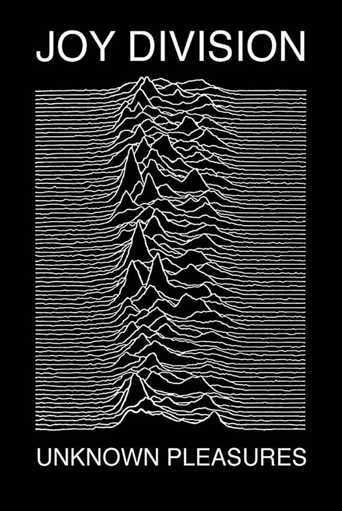 JOY DIVISION (UKNOWN PLEASURES)
