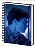 HARRY POTTER (MAGIC PORTRAIT)
