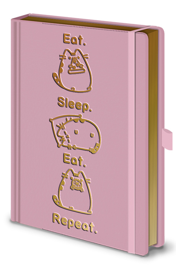 PUSHEEN(EAT,SLEEP,EAT,REPEAT)