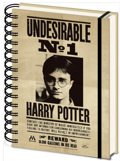 HARRY POTTER (SIRIUS & HARRY)