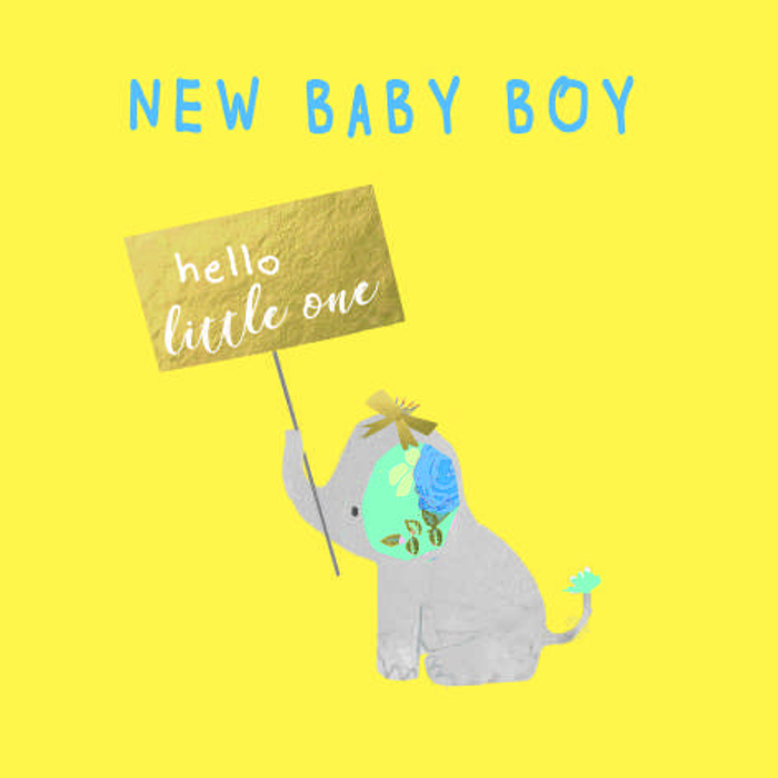 NEW BABY BOY